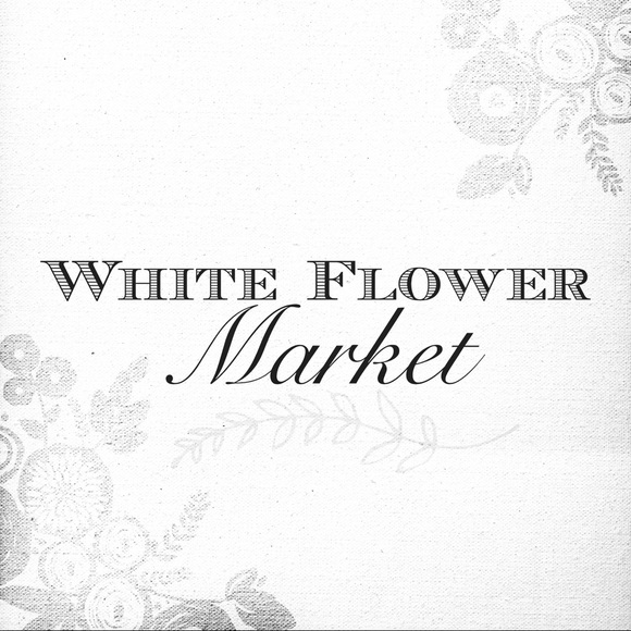 Meet your Posher, Robin - Picture 1 of 1